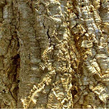HabiStat Cork Bark 5kg Bag